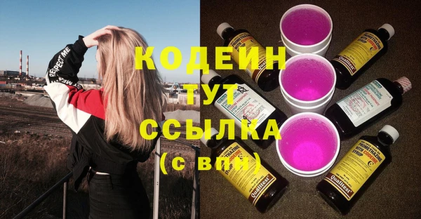 скорость Каменногорск